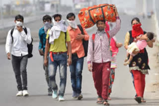 migrant labourers