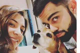 Indian cricket team captain Virat Kohli, wife Anushka Sharma