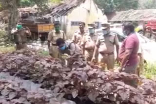 പന്തളത്ത് പൊലീസ് ഉദ്യോഗസ്ഥർ നടത്തിയ പച്ചക്കറി കൃഷിക്ക് നൂറ്‌മേനി വിളവ് latest pathanamthitta lock down panthalam