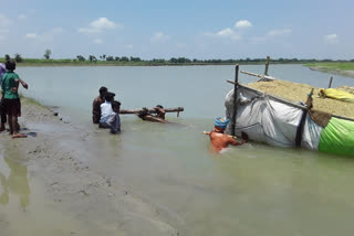 gandak river