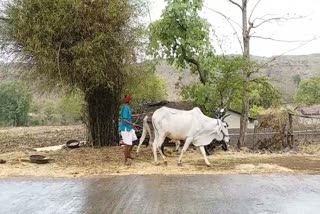 Farmers are worried