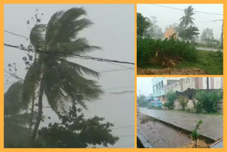 heavy rain at narsipatnam in visakhapatnam