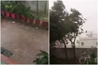 Heavy rains with strong winds in Rajura Korpana taluka of Chandrapur