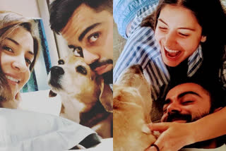 Anushka sharma and virat kohli mourned the death of their pet dog Bruno posted pictures on instagram