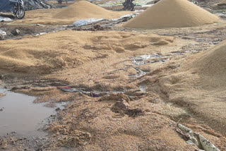 rain in siddipet district