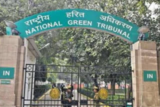 NGT seeks report from Mathura DM