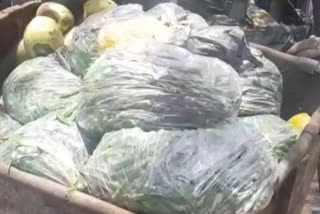 selling vegetables from garbage  vegetables from garbage in Mumbai  mumbai latest news  मुंबई लेटेस्ट न्युज  कचराकुंडीतील भाजीपाला विकला  मुंबई कोरोना अपडेट