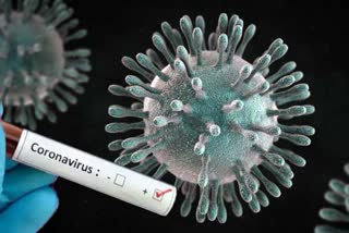 Corona Virus Positive Case in Patiala