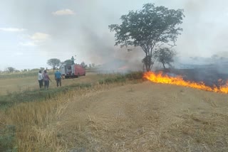 fire-on-farm-in-datia