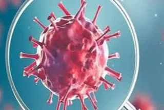 COVID-19 cases in Karnataka virus death toll in Karnataka virus cases in Karnataka ബെഗംളുരു ദാവനഗരെ കൊവിഡ് 19 കർണാടക