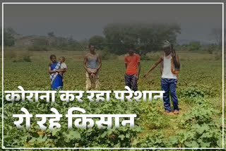 Farmer upset in lockdown, farmers of Gumla, crop ruined due to lockdown, lockdown in jharkhand, लॉकडाउन में किसान परेशान, गुमला के किसान, लॉकडाउन के कारण फसल बर्बाद