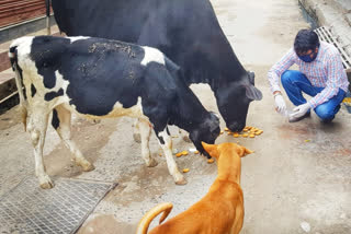 कुशीनगर ताजा समाचार