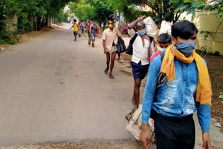 27 workers of Darbha arrived in 3 days walking 400 km from Telangana