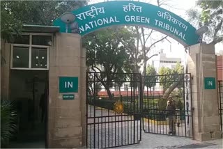 NGT directs Delhi Jal Board to take action against illegal bore well drainers