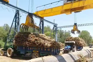 Kaithal sugar mill opened for Shahabad sugarcane farmers