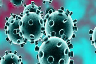 coronavirus latest news