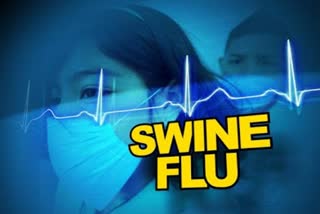 Prestone Tynsong  African Swine Fever  ஆப்பிரிக்க பன்றிக் காய்ச்சல்  மேகாலயா ஆப்பிரிக்க பன்றிக் காய்ச்சல்