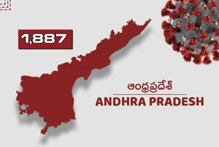 ap registers 54 new corona cases in last 24 hours