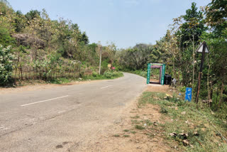 corona cases in vishakapatnam