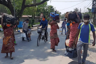 60 people are returning home from andhrapradesh to north dinajpur, west bengal