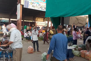 tohana vegetable market