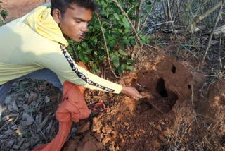 महिला का सर काटने वाला गिरफ्तार