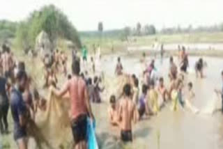 old mahabubnagar district fishermen s problems latest news