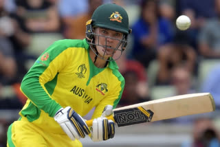 Alex carey would 'love' to open batting for Australia in T20I