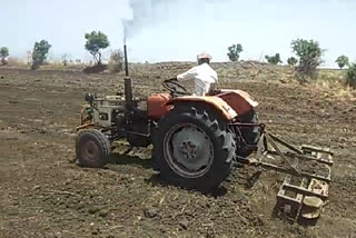 Farmers engaged in land cleansing