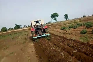 Onion crop makes farmer's to cry : Crop destroyed by Tractor