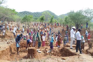 people employed  under Narega project