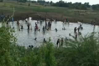 Attack on both sides of the rocks at the fish pond