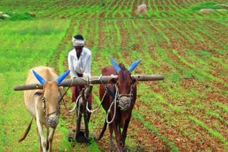 Govt disburses Rs 18,253 cr to 9.13 cr farmers under PM-KISAN scheme during lockdown