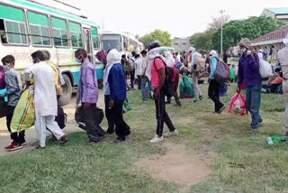 roadways bus run to send migrant laborers to home from Rohtak