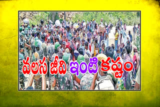 migrant labuores news in ap