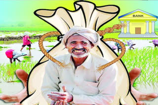 eight thousand farmers will be benefited in adilabad by crop loan waiver scheme