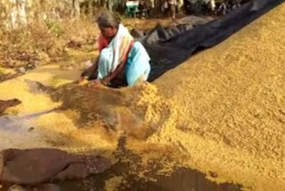 కరీంనగర్ జిల్లాలో అకాల వర్షం.. అపార నష్టం..