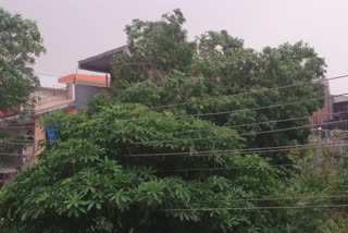 rains starts with heavy dust storm