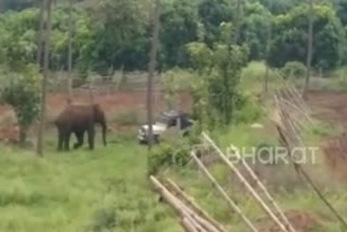 கோவை மாவட்டச் செய்திகள்  ஆனைமலை காட்டுயானை  சர்கார்பதி காட்டுயானை  wild elephant attack pollachi  elephant attack forester vehicle