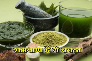 decoction to fight with corona, चूरू न्यूज