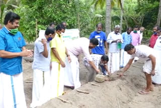 ആലപ്പുഴ  alappuzha  vayalar mamavarma  vayalar sarathchandra varma  cultivation  vegetable