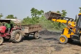 Illegal coal depot, अवैध कोयला डिपो