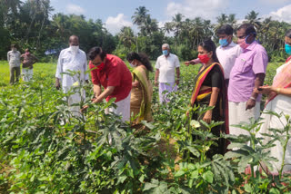 വരന്തരപ്പിള്ളി  പച്ചക്കറി  80 ഏക്കർ  തൃശൂർ  മന്ത്രി സി രവീന്ദ്രനാഥ്  ഉദ്ഘാടനം