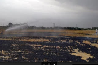 Fire in Farm due to short circuit fire in bhiwani