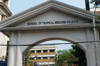 School of Tropical Medicine