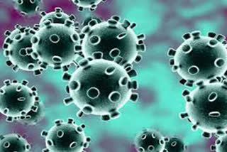 Coronavirus: Battle successful, says Awhad after discharge