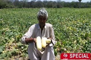 farmer-composting-rotten-cucumber