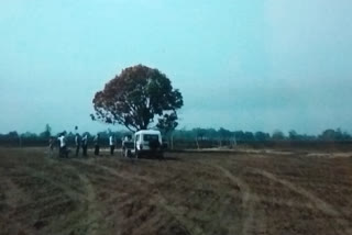 Farmer commits suicide by hanging in mango tree