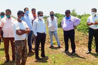 Model organic farm to be developed on 100 acres of land in jashpur