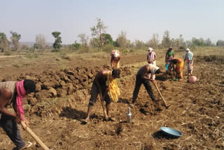 Rural laborers got employment in village from MNREGA in mandla